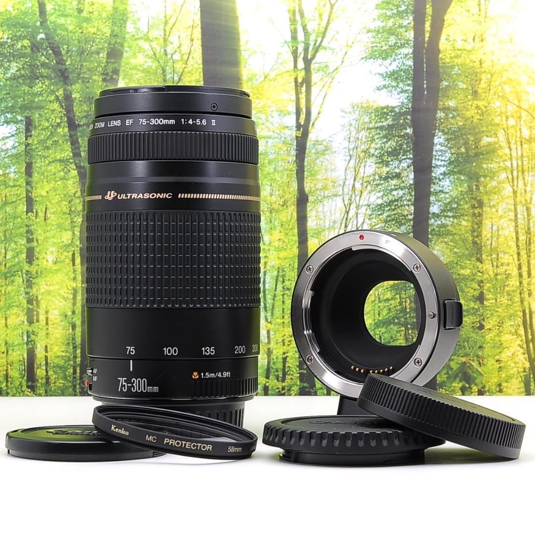 Canon純正マウントアダプターと300mm望遠レンズセット