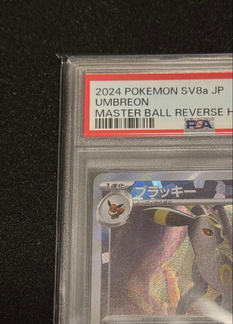 ブラッキー　マスターボールミラー　psa10