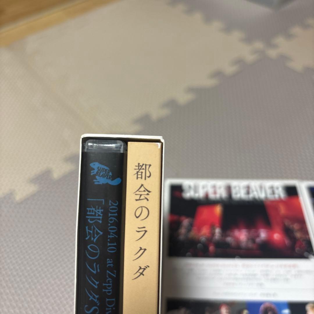 ミュージック SUPER BEAVER LIVEDVD