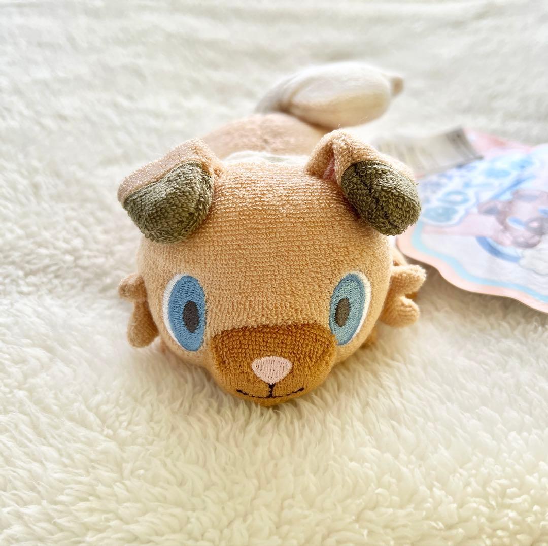 ポケモン 洗えるぬいぐるみ イワンコ
