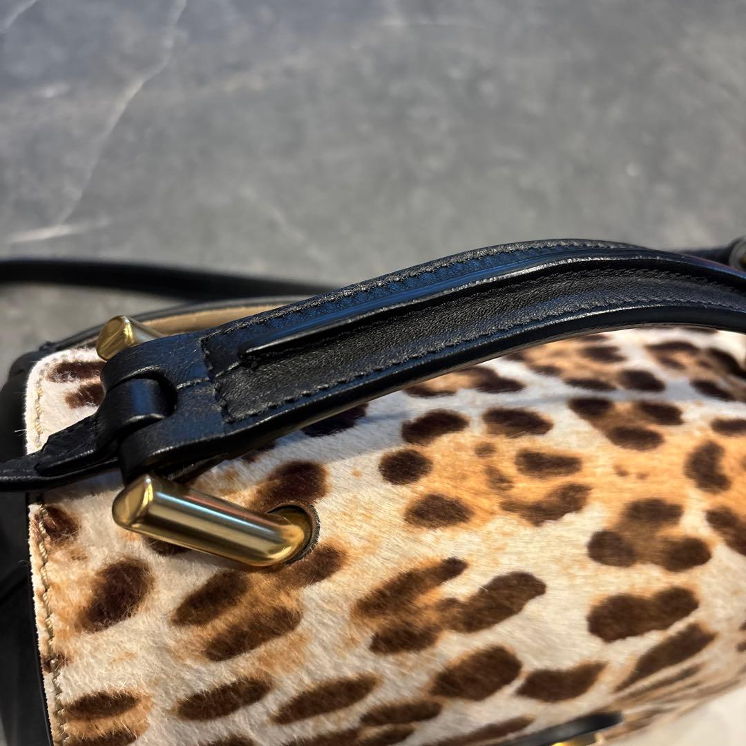 Chloé クロエ　レオパード柄 ショルダーバッグ