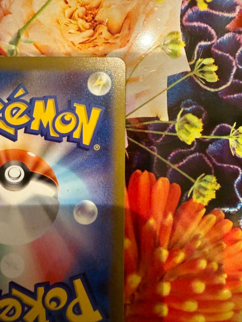 【極美品】 ポケモンカードメガリザードンXex SAR 110/080