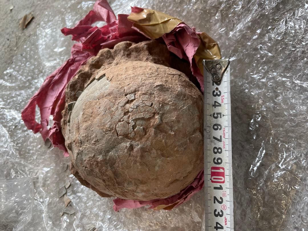 恐竜　化石　卵　たまご　1994年　中国