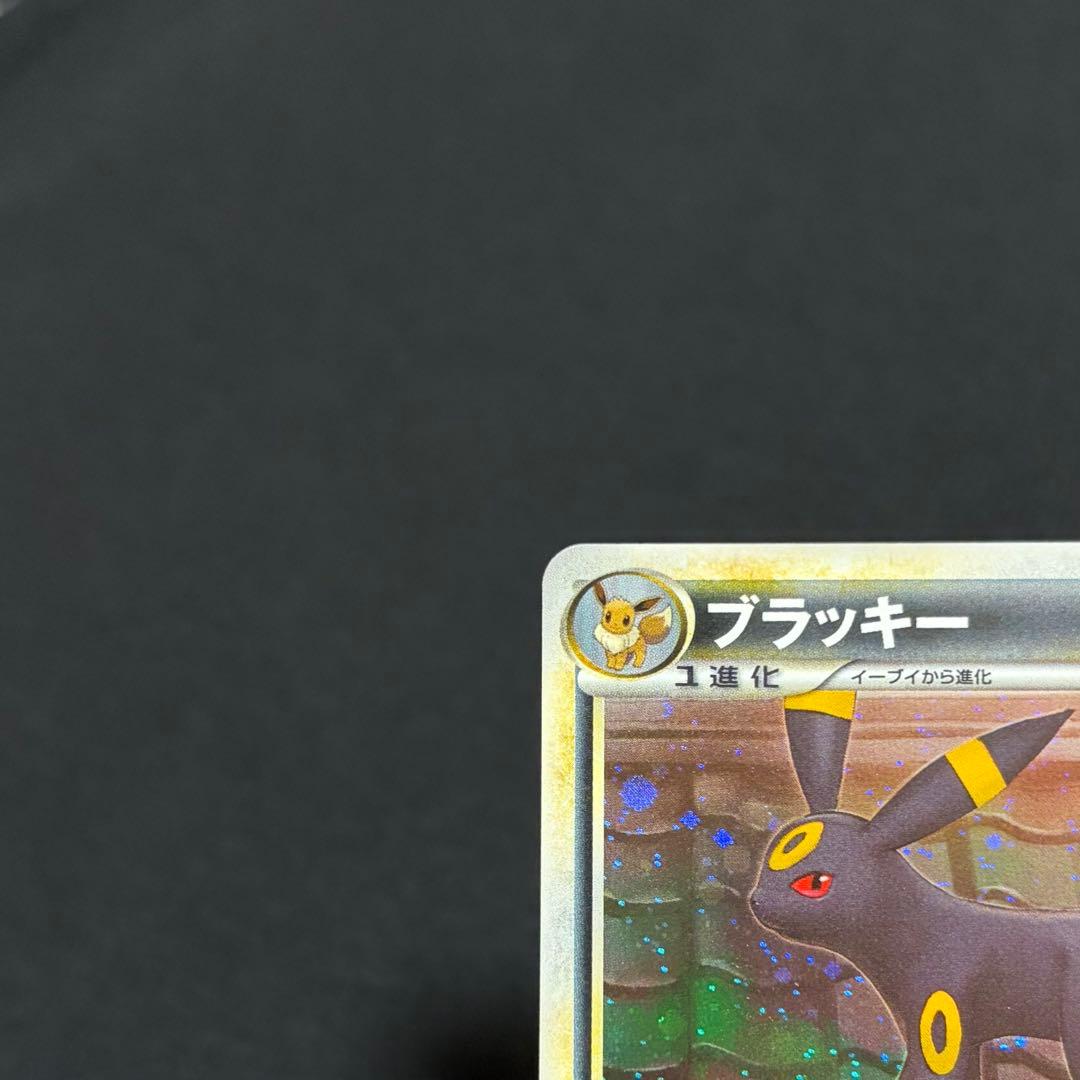 12/0480 極美品 ブラッキー ★ L2 よみがえる伝説 037/080