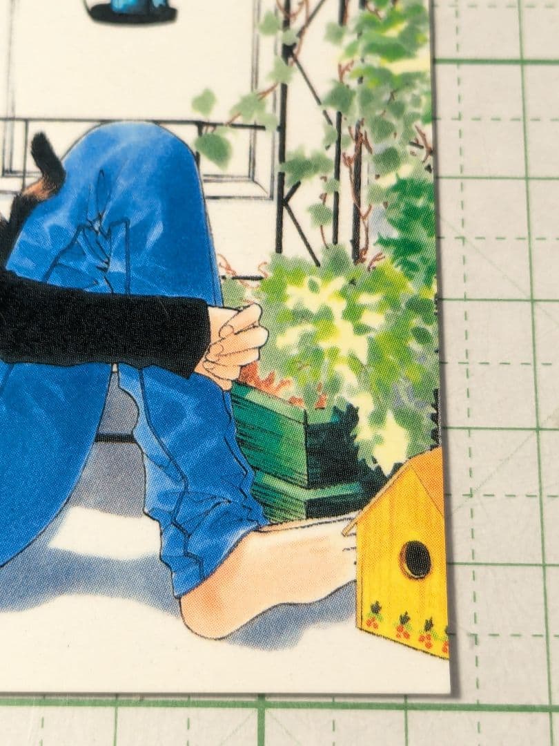 美品　闇の末裔　花とゆめ　白泉社　都筑麻斗　壬生織也　カード　レトロ　当時物