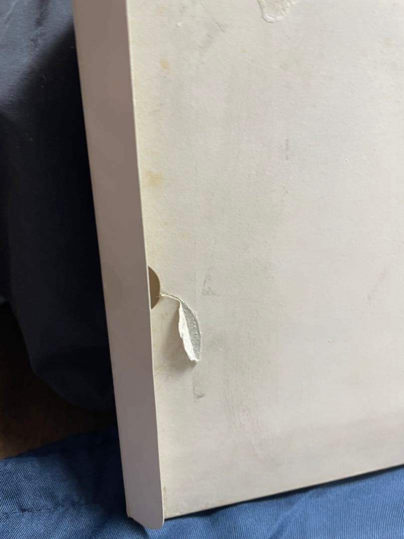 オリンピック参加記念純銀メダル　13枚セット