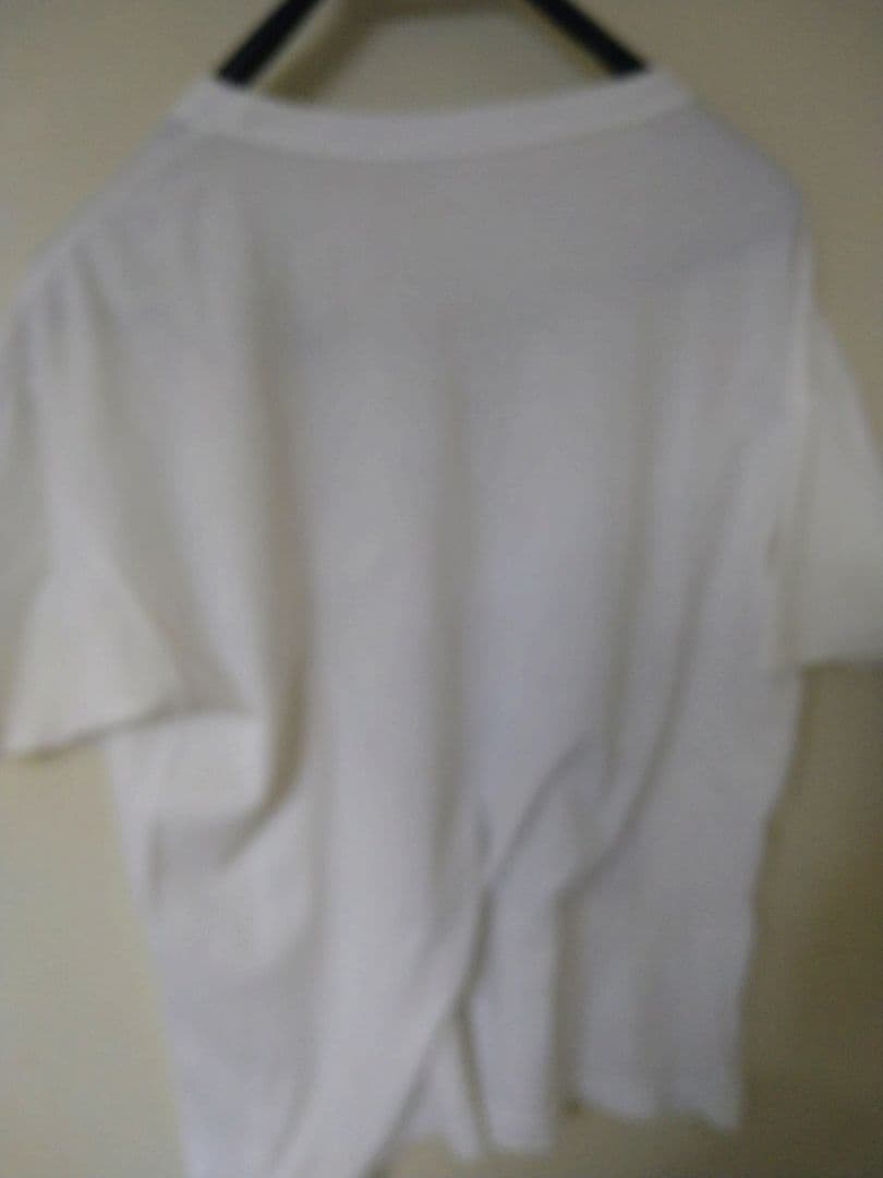 キースリチャーズ&ティナターナー Tシャツ