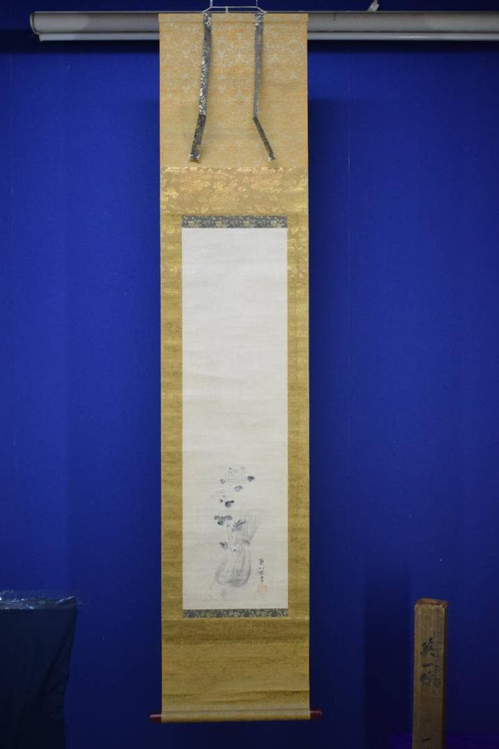 真作/英一蝶/菊花図/金襴表装/桐題箱付/布袋屋掛軸HH-560