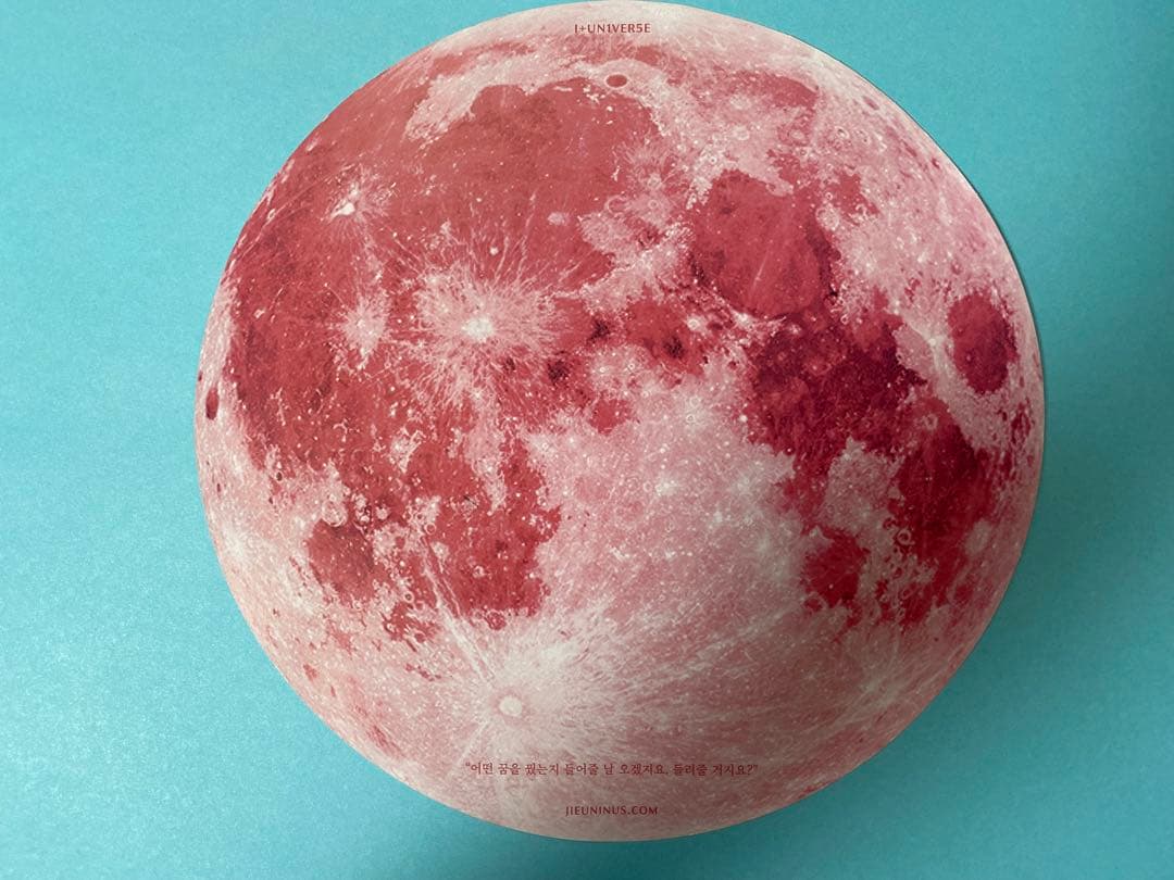 IU 15周年 ペンコン 公式 ピッピ ダユギ トレカ ぬいぐるみセット E