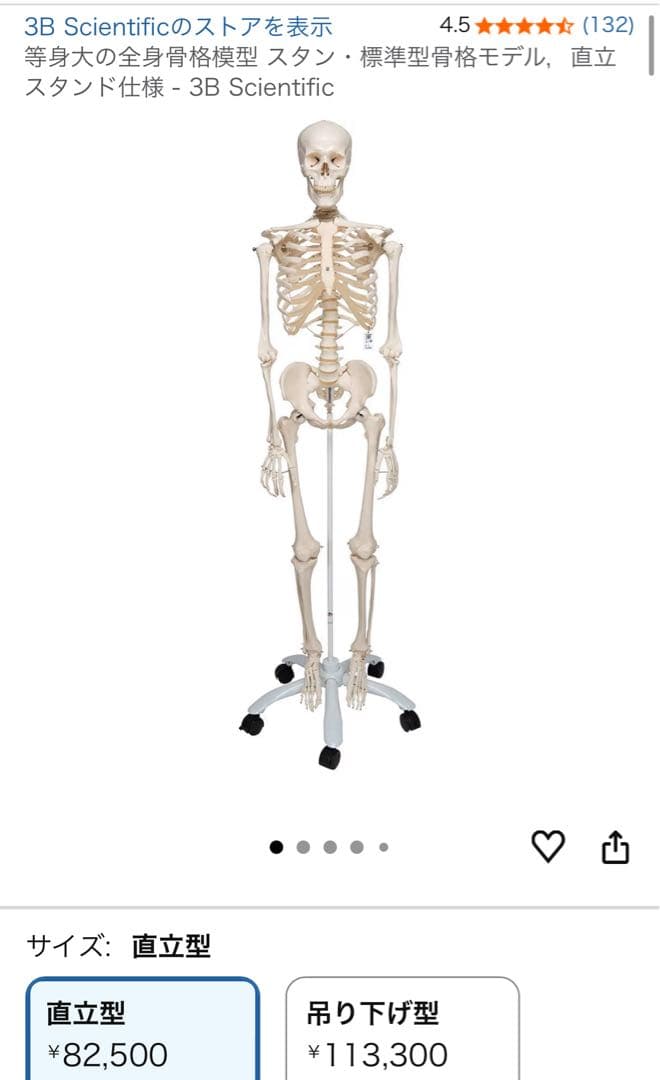 可動式人体模型 約170cm