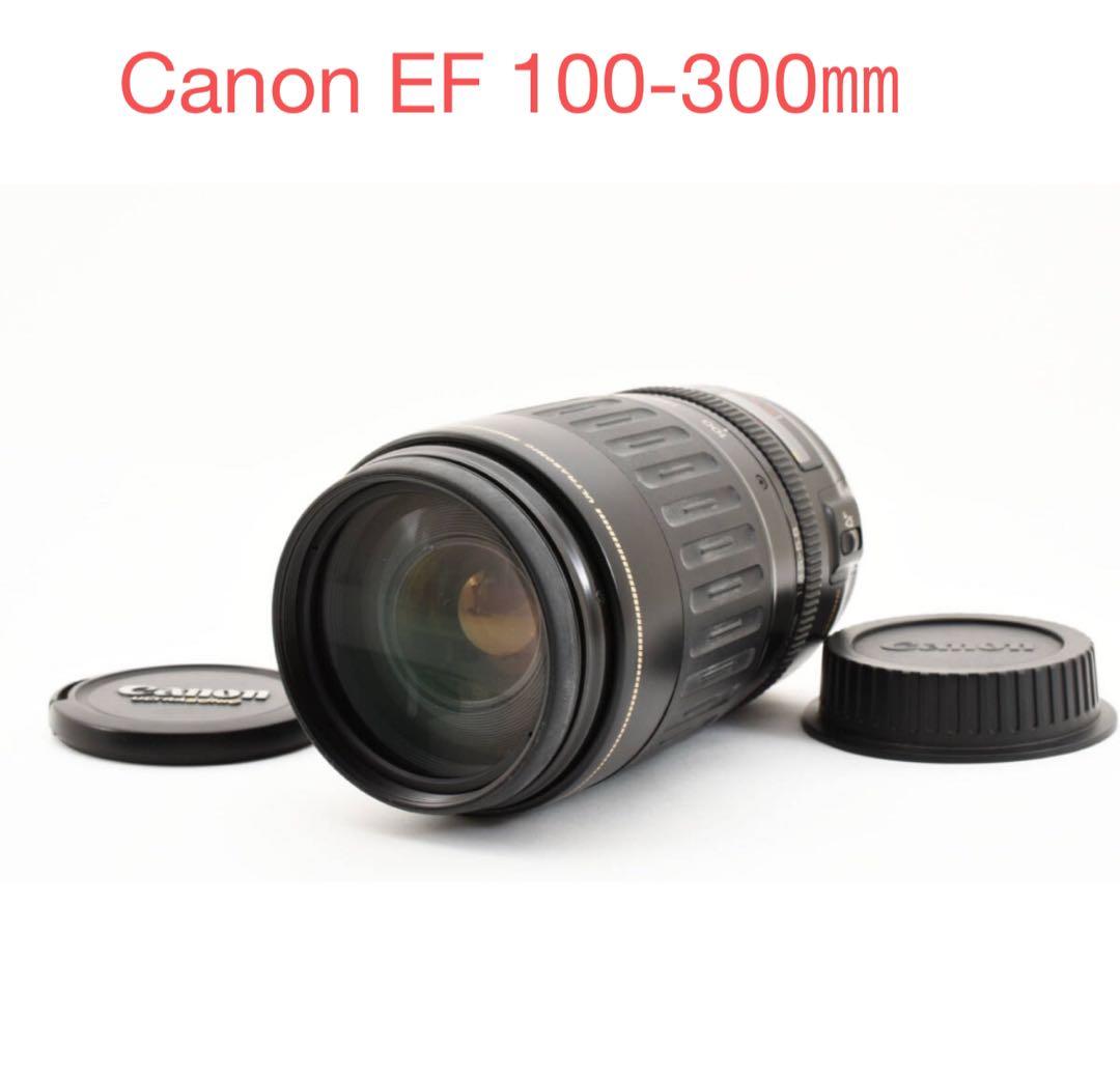 超望遠ズームレンズ　Canon EF100-300㎜F4.5-5.6 USM