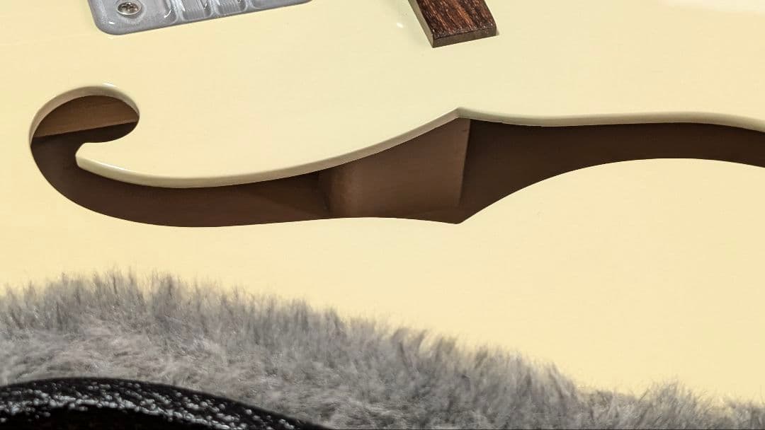 GRETSCH G6118T LIV ANNIVERSARY グレッチ