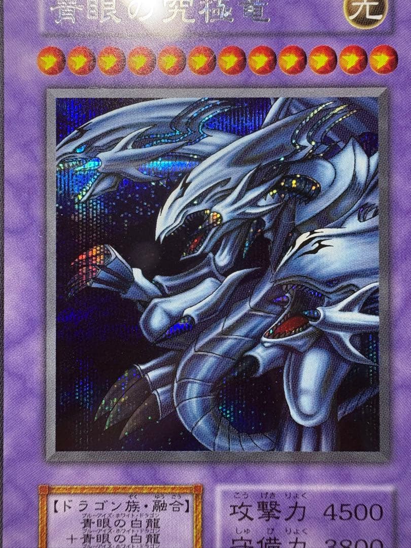 遊戯王 鑑定 済青眼の究極竜 シークレット シーク ARS10 PSA10 相当