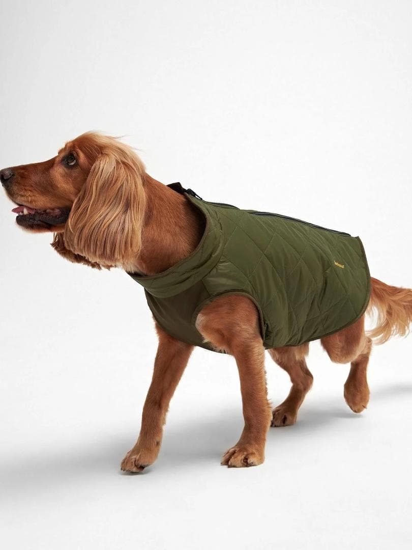 【新品・未使用】Barbour dog coat