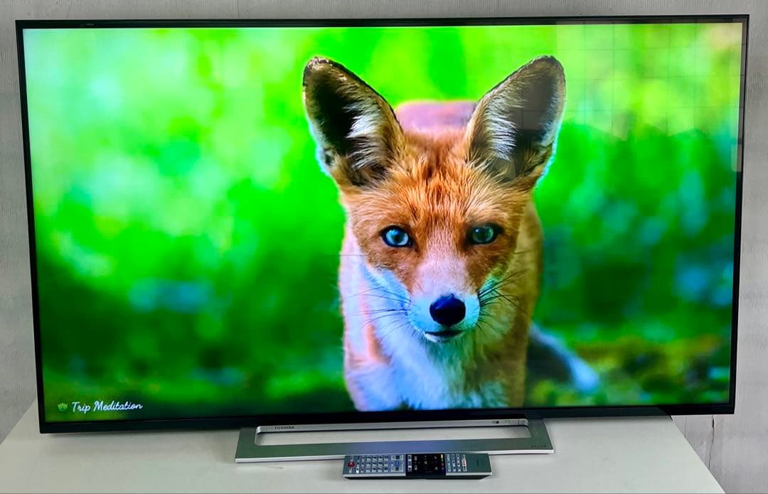 55M520X 液晶テレビ 55 型 4K チューナー内蔵 /YouTube