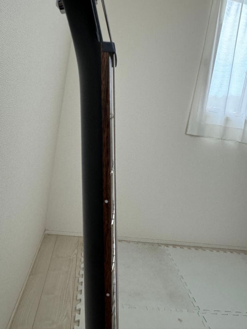 PRS SEカスタム24