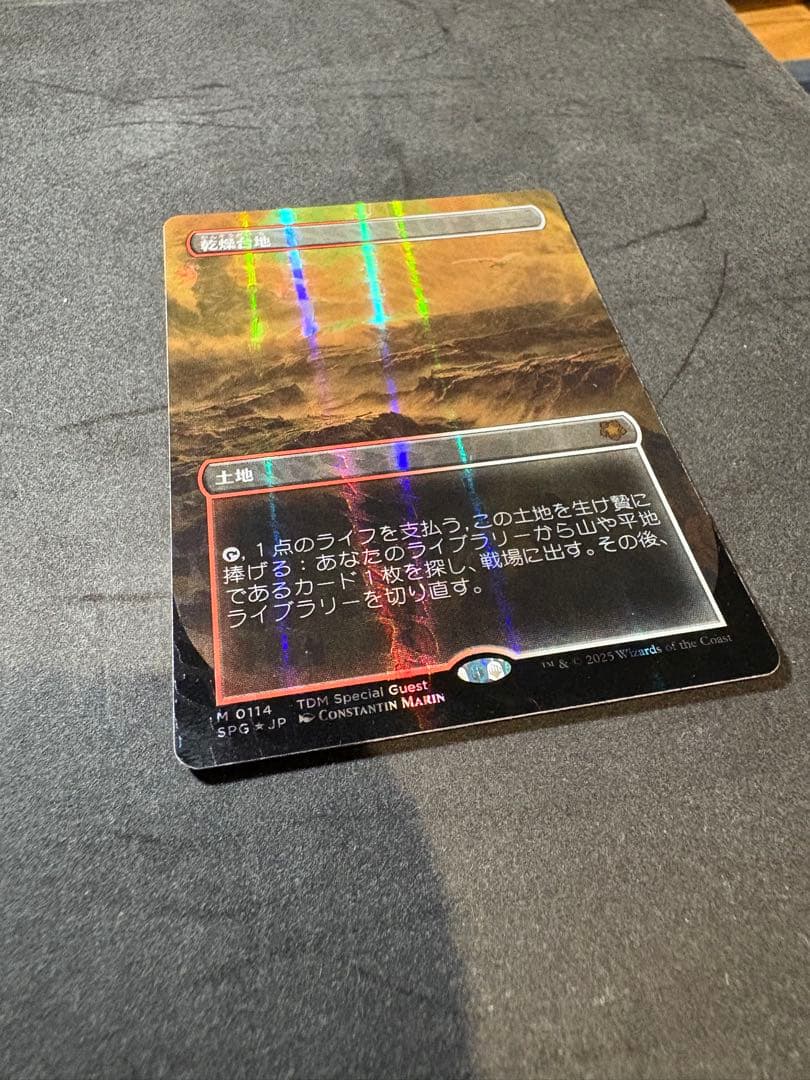 MTG 乾燥台地 0114 ドラゴンスケイルFOIL