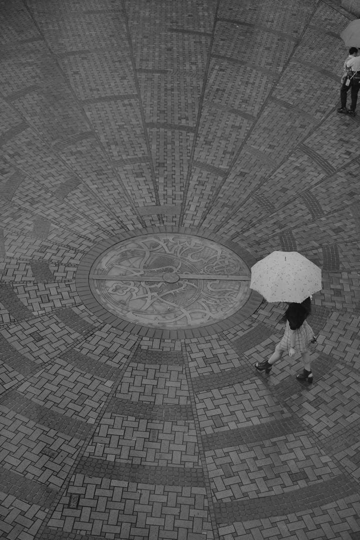 本日限定　Leica ズミクロンM50mm F2.0 レンズフード組込 6bit