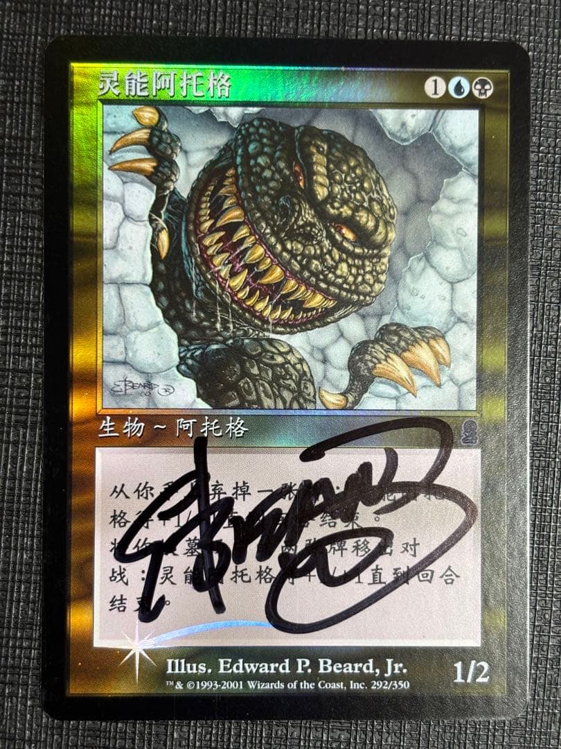 サイカトグFOIL 中国語 簡体字