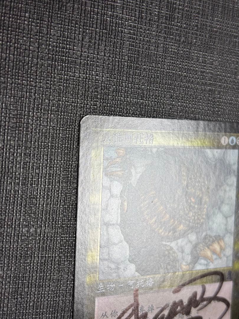 サイカトグFOIL 中国語 簡体字