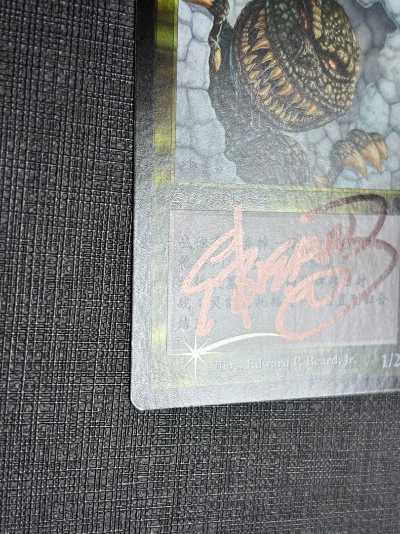 サイカトグFOIL 中国語 簡体字