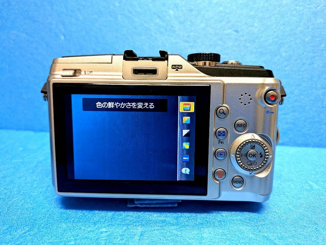 【極上品】OLYMPUS PEN E-PL2 ファインダーほか　付属品多数