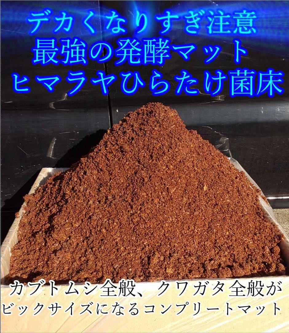 送料無料！80リットル　カブトムシ幼虫の餌！巨大化！ヒマラヤひらたけ発酵マット
