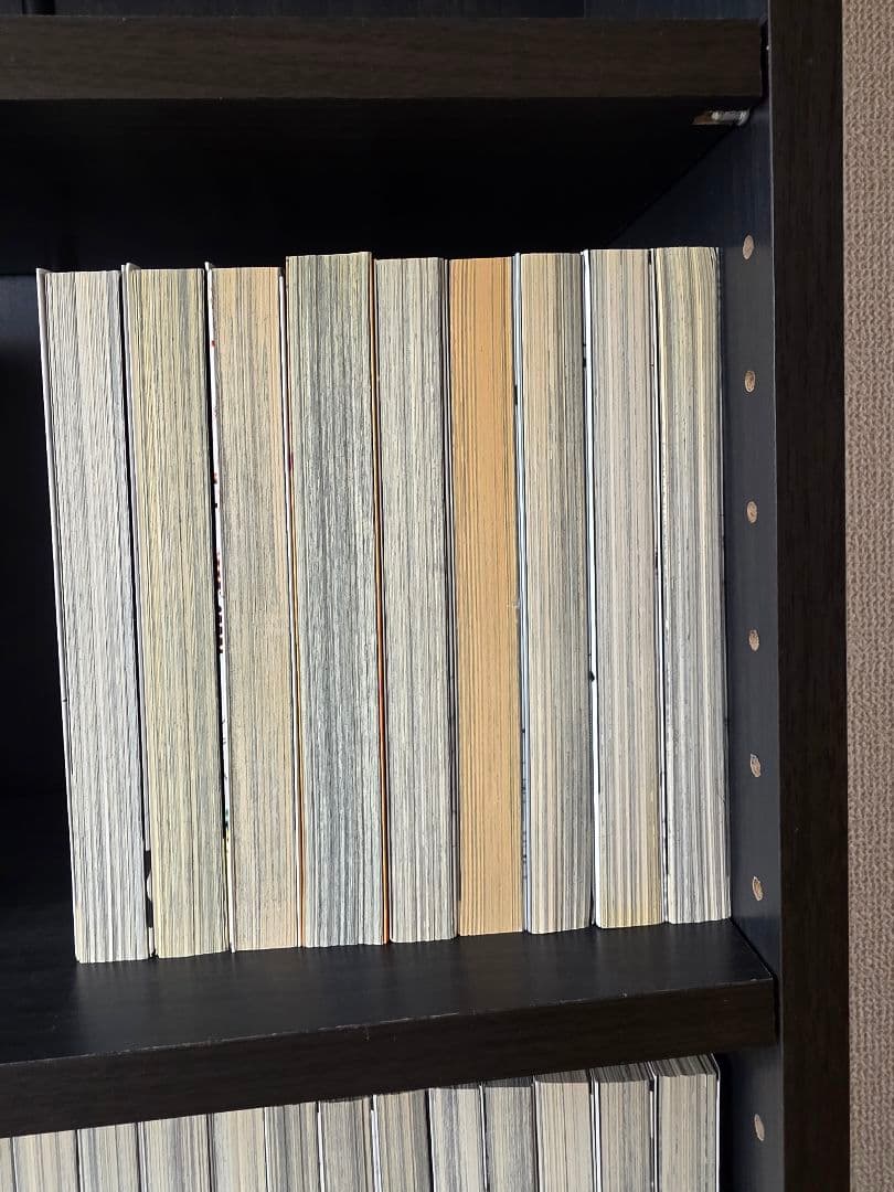 お買い得！　闇金ウシジマくん 肉蝮、滑皮セット全55冊