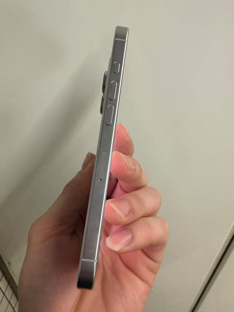 Apple iPhone 16Pro シルバー 本体