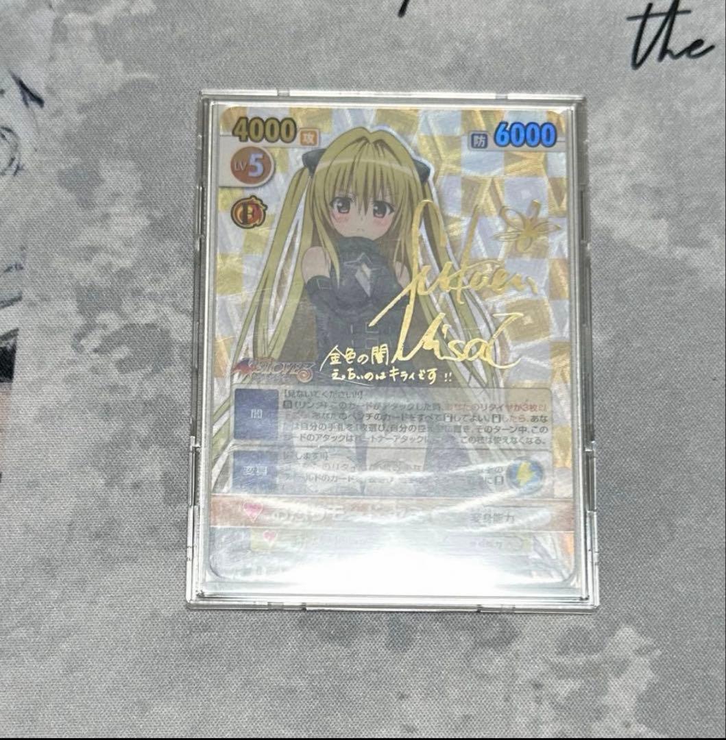 ヴィクトリースパーク　toloveる　ヤミ　サイン