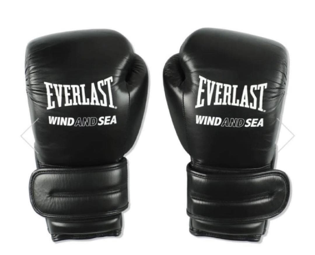 春に散る X WDS X EVERLAST BOXING GLOVE 10oz
