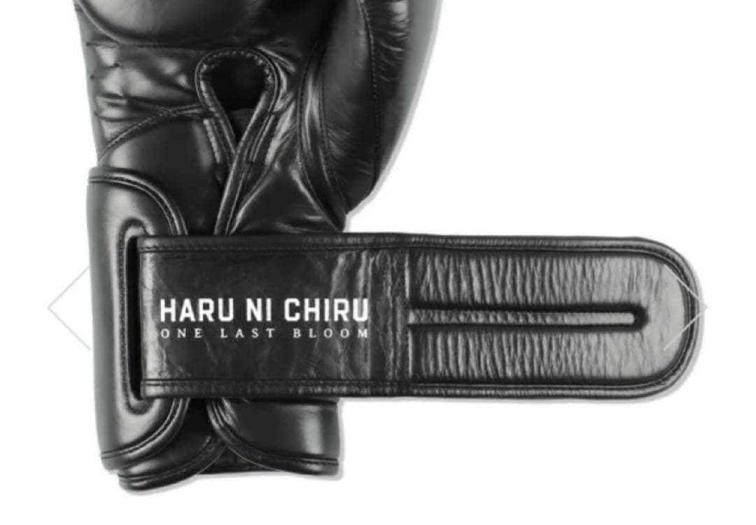 春に散る X WDS X EVERLAST BOXING GLOVE 10oz