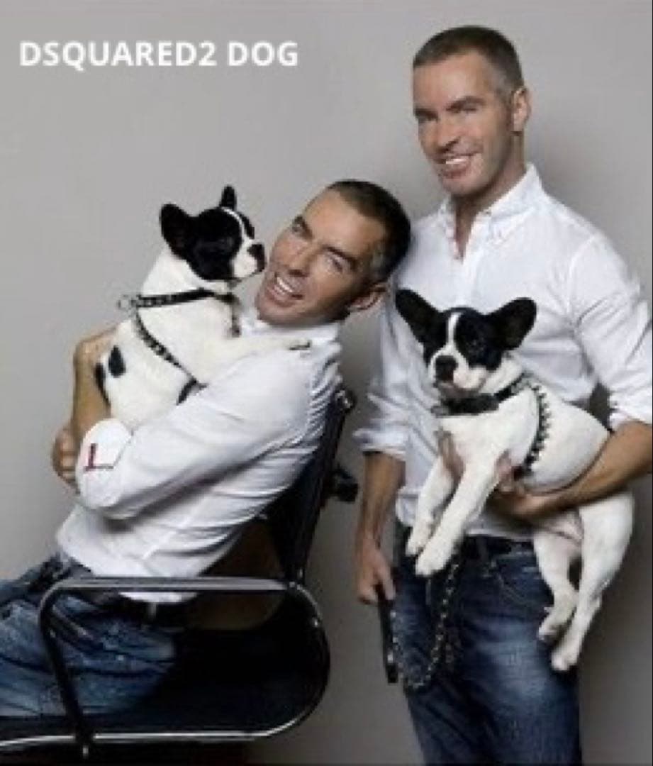 激レア DSQUARED 2 DOG Harness 犬用スタッズ付ハーネス