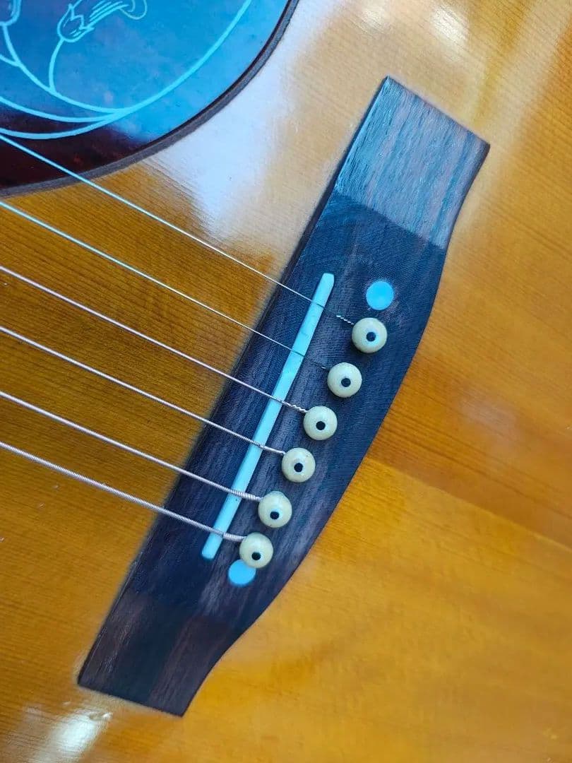 美品 JEISON Hummingbird PU付エレアコ G社シール２枚