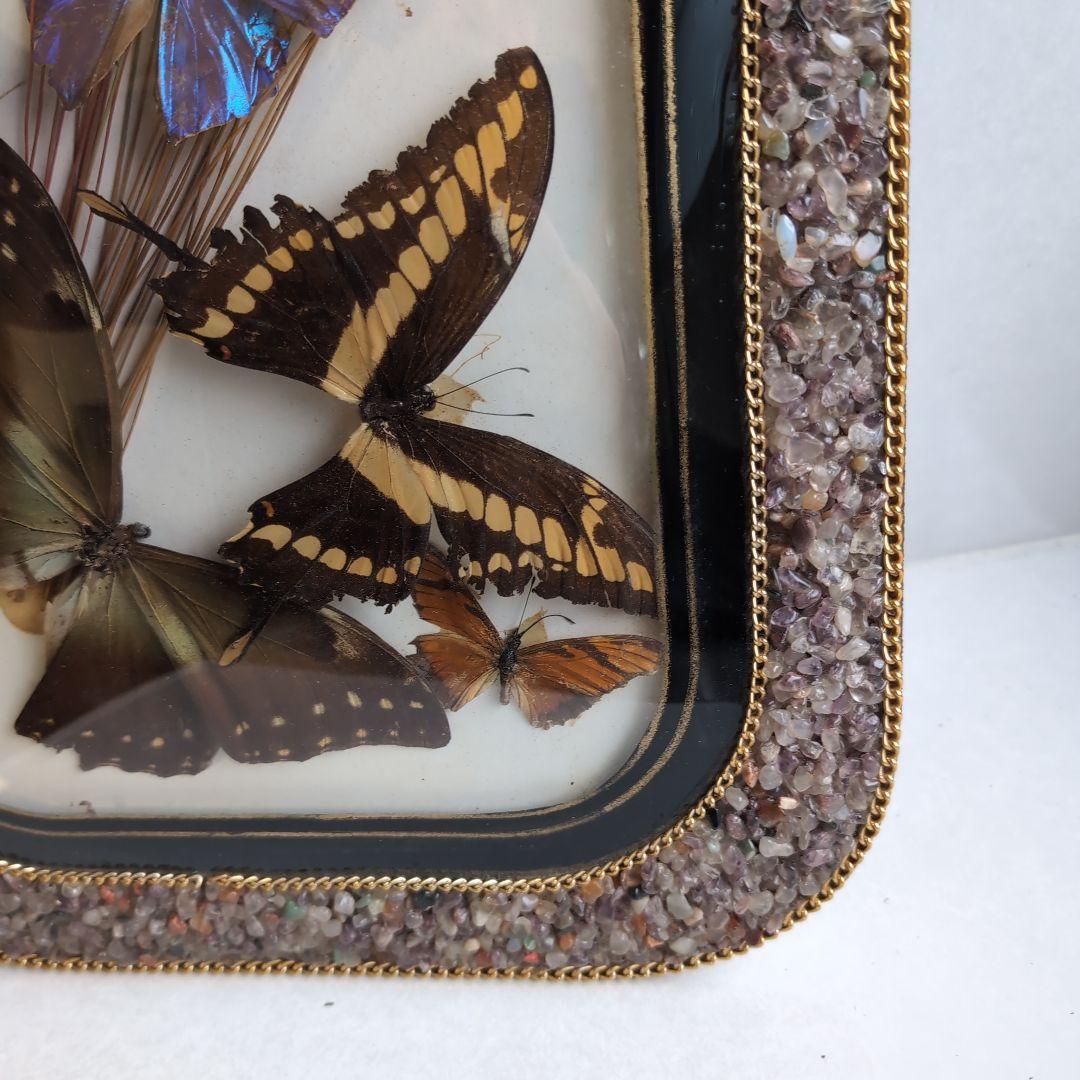 ブラジル 工芸品 蝶の標本 装飾石付きフレーム