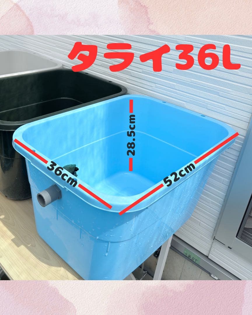 ★お買い得★たらい36L(4個)メダカ飼育容器オーバーフロー トロ舟プラ舟めだか