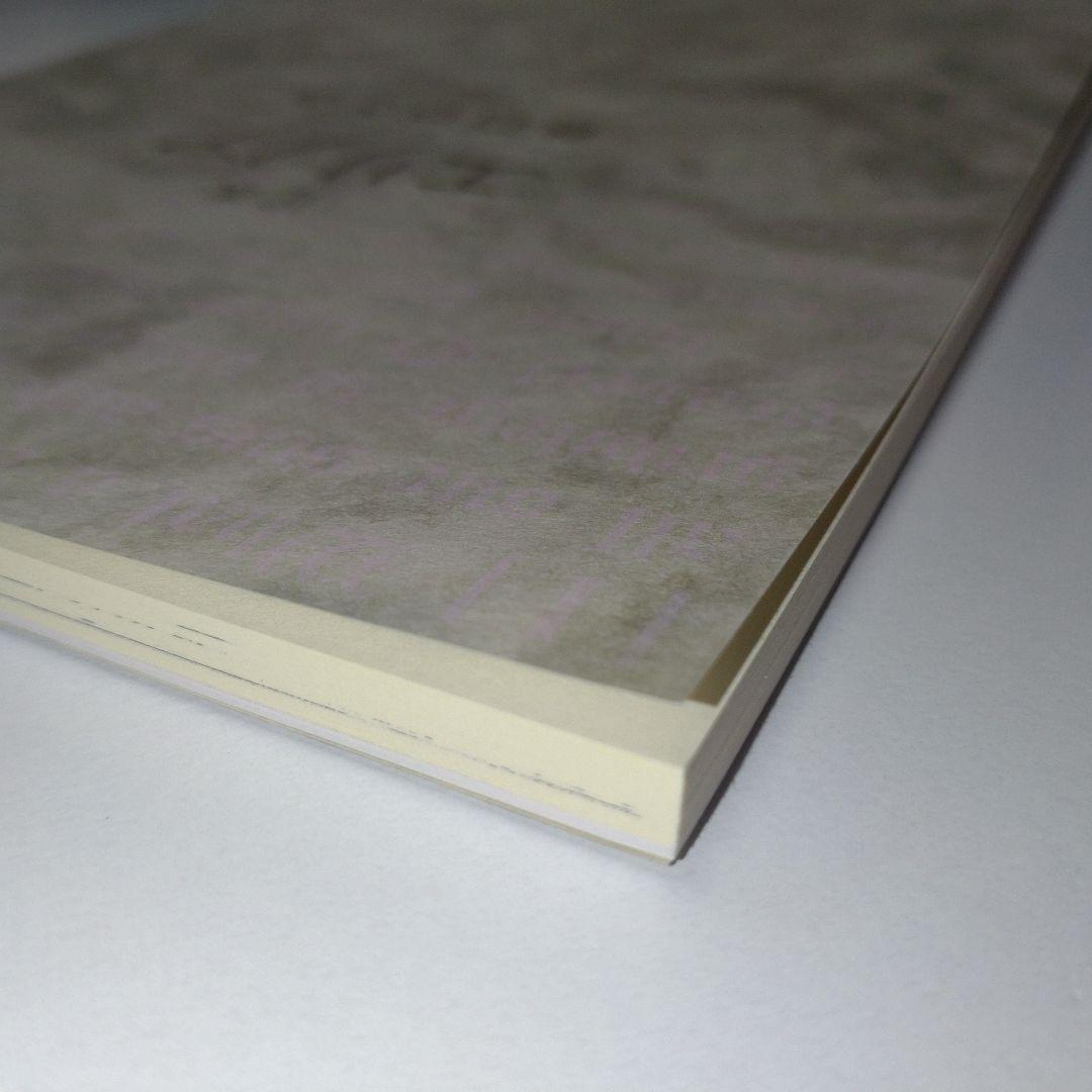 定本 エリノア [2016年増補版 ] 谷口ひとみ さわらび本工房