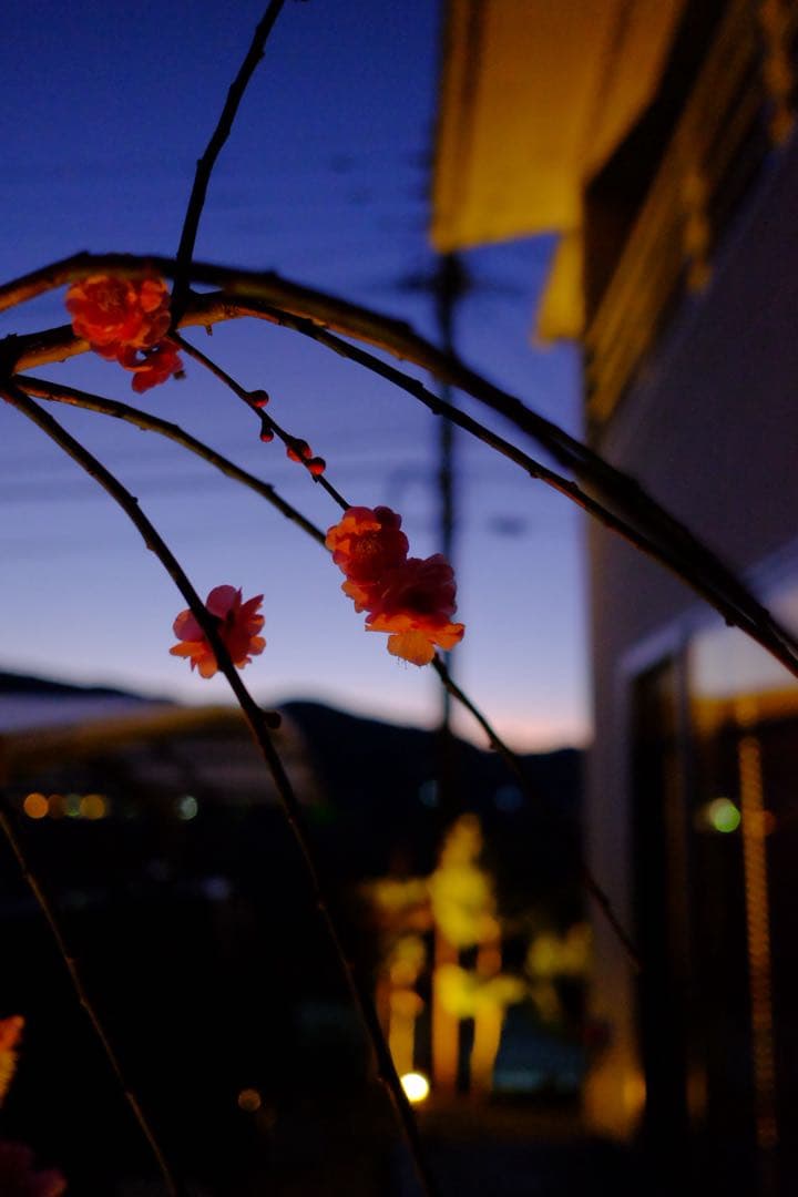 FUJIFILM フジフイルム XF18mmF2 R