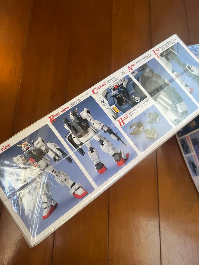 MG 1/100 陸戦型ガンダム 陸戦型ジム 俺は売る！売ってアイナと添い遂げる