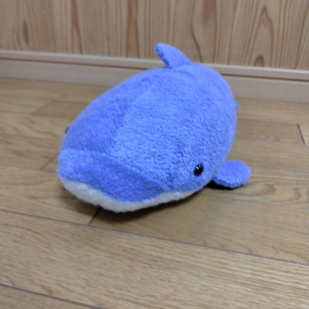 Fricca　イルカのぬいぐるみ　ましゅまろせらぴ　株式会社まつもと