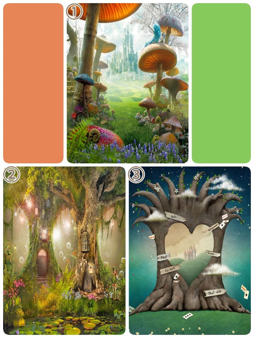 縦長　背景布×8+1　ペット撮影用ブース　トリミングチョーカー販売中　クリスマス