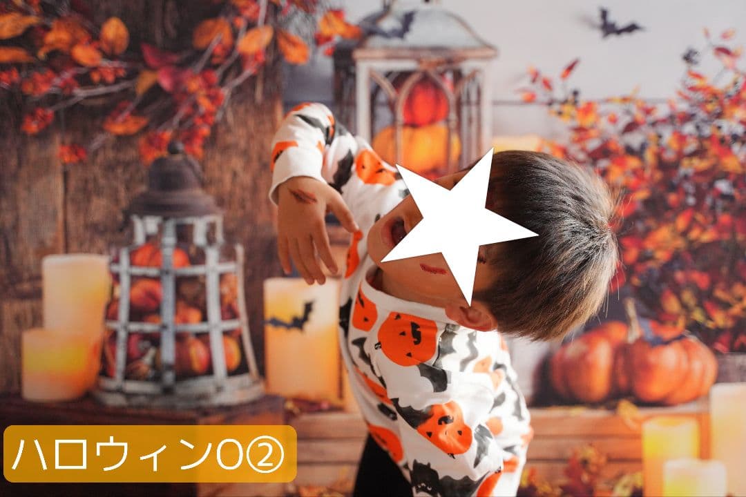 縦長　背景布×8+1　ペット撮影用ブース　トリミングチョーカー販売中　クリスマス