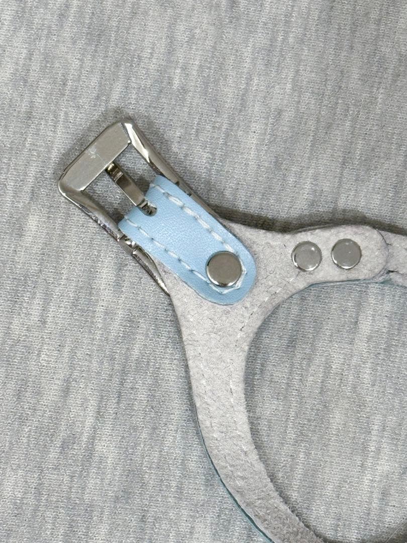 希少Buddybelts バディーベルト ベビーブルー babyblue 2.5