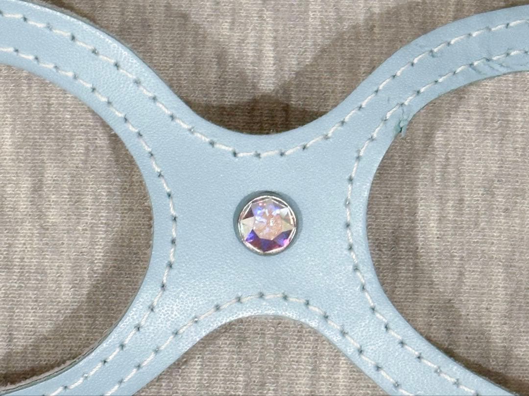 希少Buddybelts バディーベルト ベビーブルー babyblue 2.5