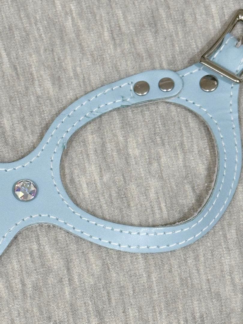 希少Buddybelts バディーベルト ベビーブルー babyblue 2.5