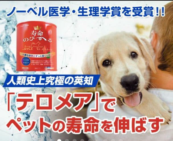 世界初！日本先行販売　ペット用テロメアのサプリ　普段のご飯に混ぜるだけ　3缶