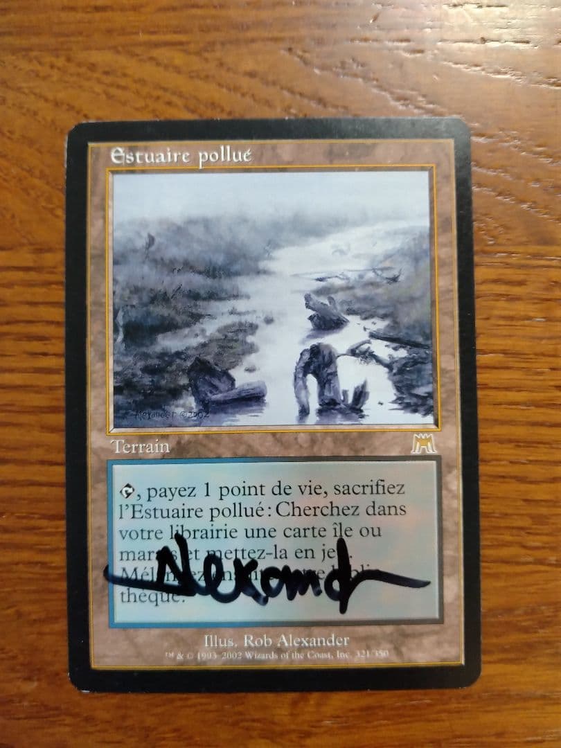 汚染された三角州　英語版　サインド