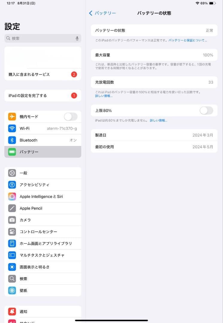 バッテリー100%　iPad Pro11インチ(M4) Wi-Fi 256GB