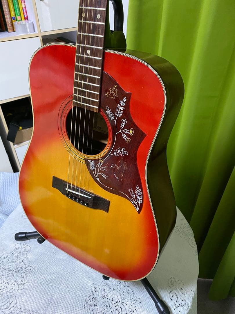 新春特価カントリーしようぜ！ハミングバードHottaエレアコ音出し良好