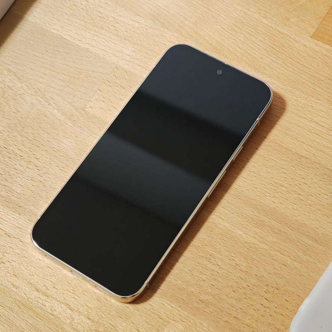 Google Pixel 10 Pro XL 256GB SIMフリー